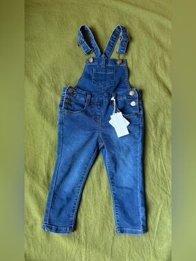 NWT Jamie Kay Denim Overalls